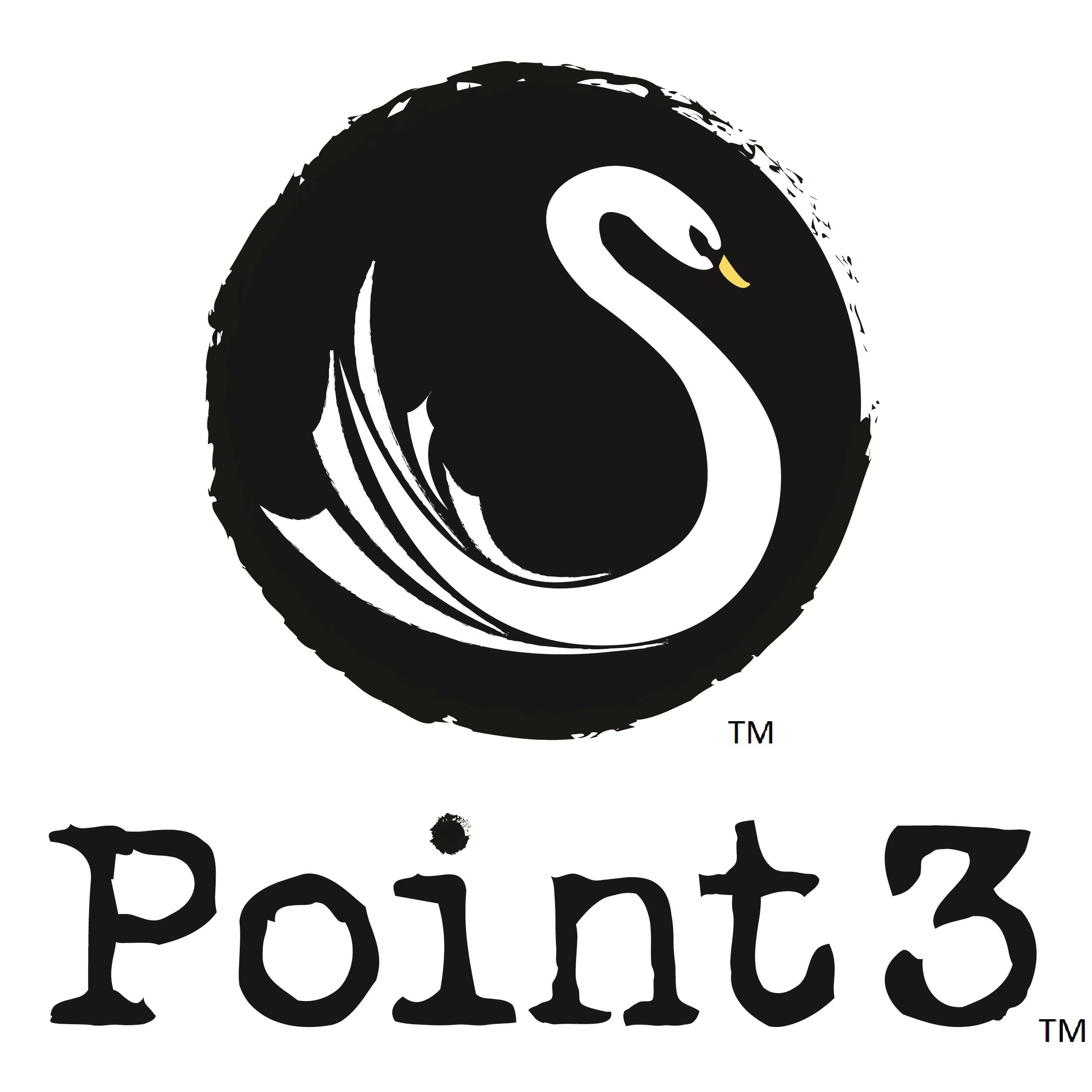 Point3 Security